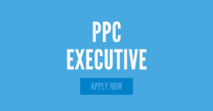 ppc & google ads executive