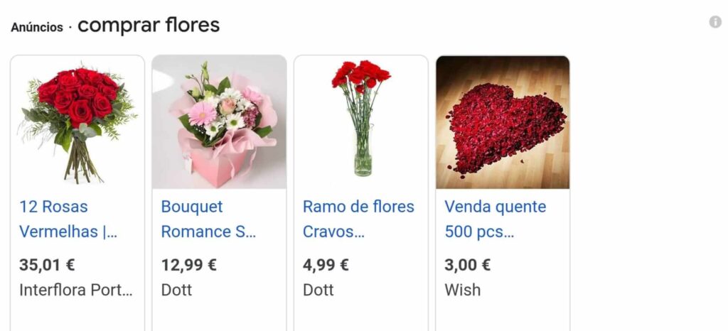 Google Shopping Campaign example