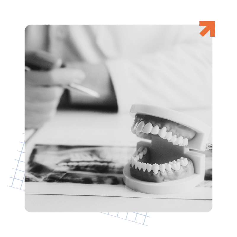 Dental SEO