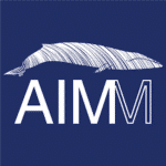 AIMM Portugal SEO Review